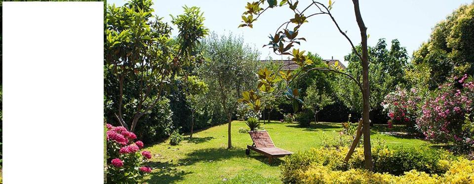 Al Piano di Sopra Bed and Breakfast Massarosa Esterno foto